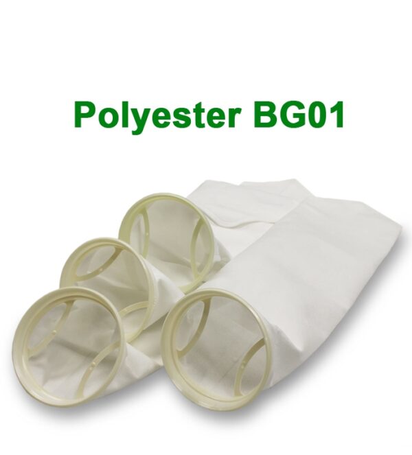 BG01 Polyester Bags